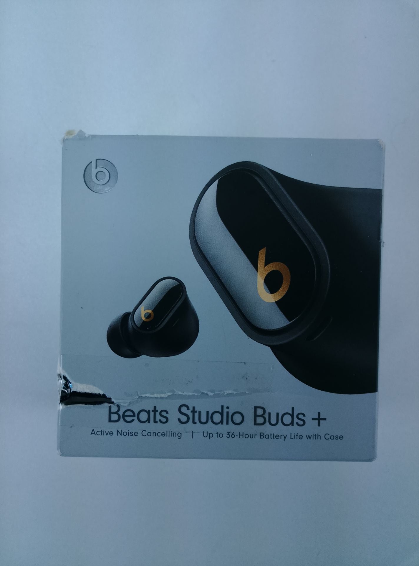 Beats Studio Buds + - čelní pohled